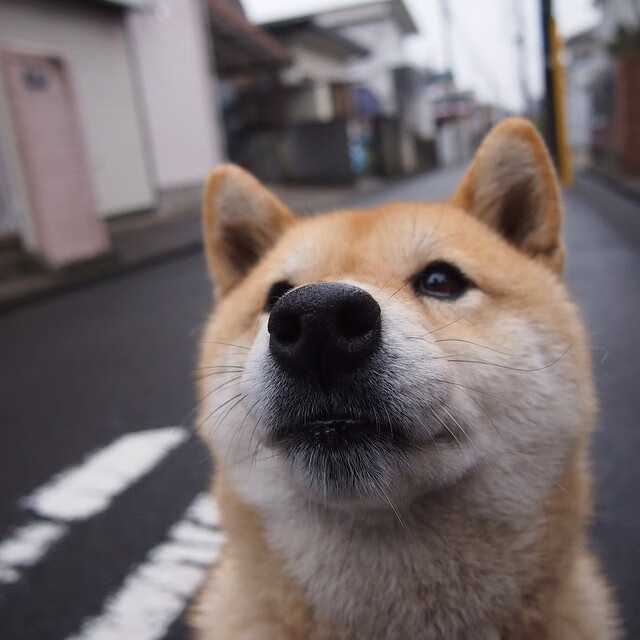 -_数字体育：区块链技术赋能未来运动_，区块链+体育