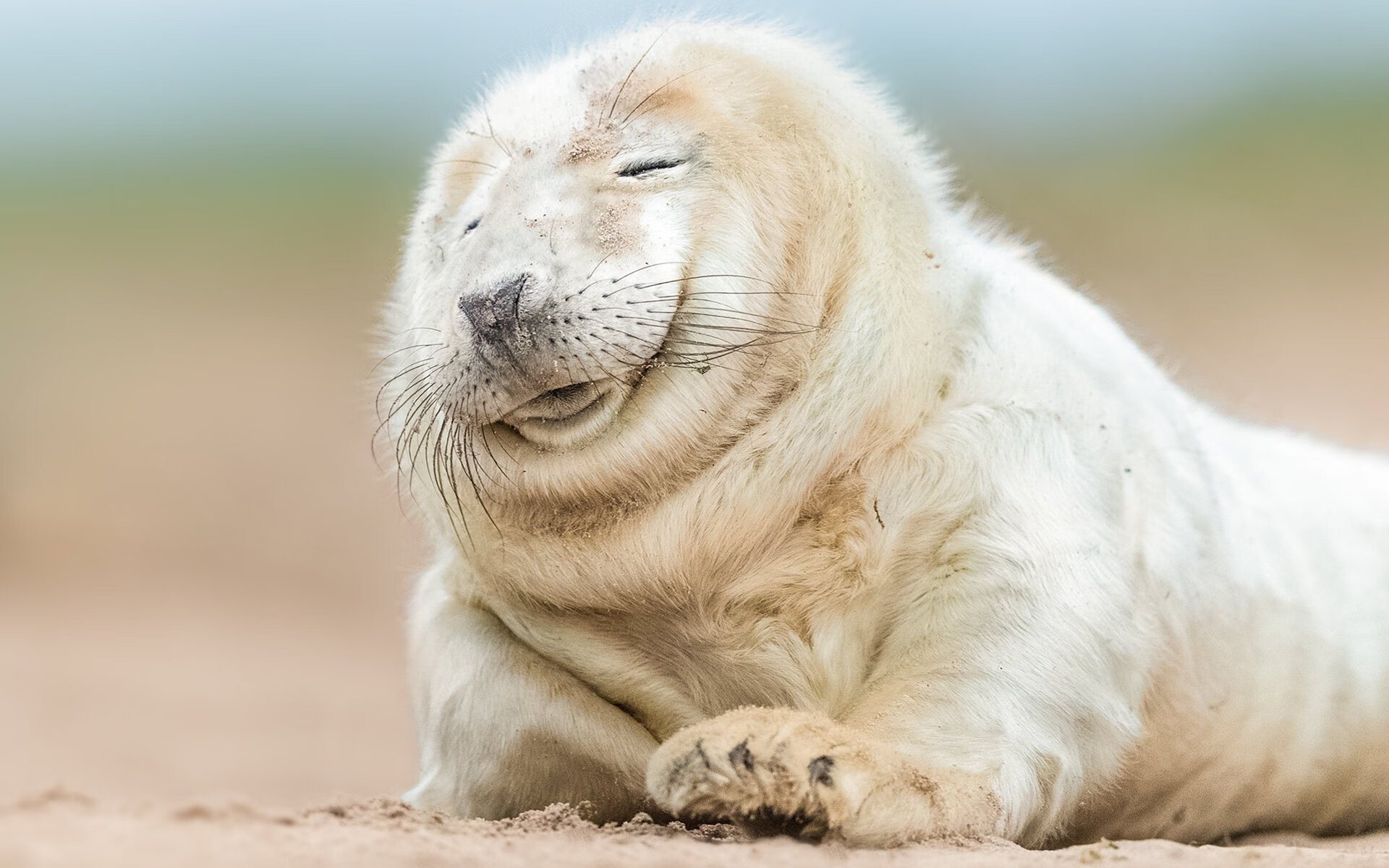 爱游戏体育（AYX）官方APP下载-_绿色环保滑梯运动：童趣与环保同行_，滑滑梯户外