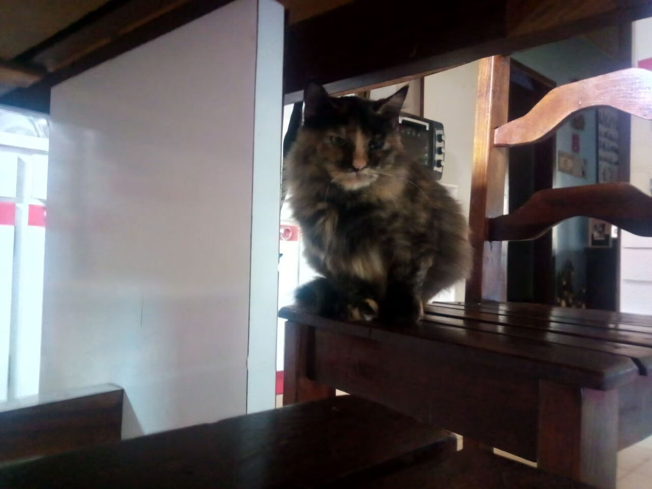 _野外探索与追逐:勇者的荒野旅行_,荒野探险之旅