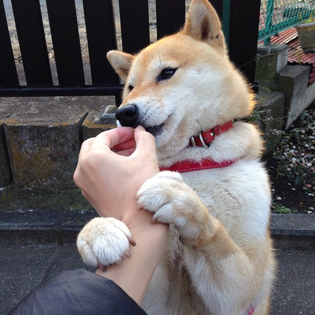 “西甲足球盛宴:明星展现超凡实力”,西甲足球明星有哪些