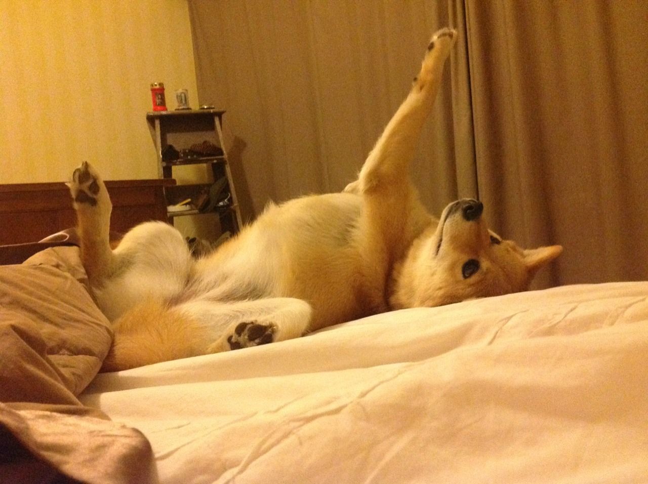 AIYOUXI.COM-中国足球云端技术推动移动观赛新体验，足球移动app