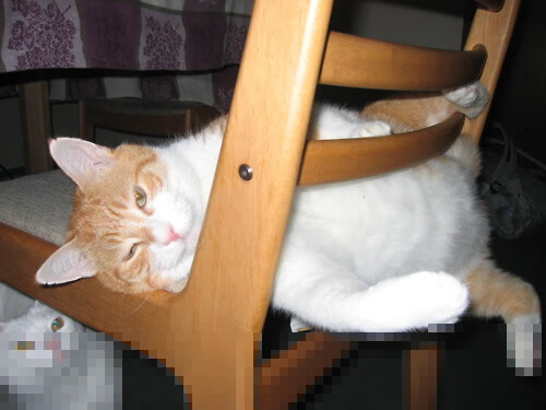 青少年篮球“野外探险赛”在青海公益举办，锻炼意志力，青少年篮球赛事