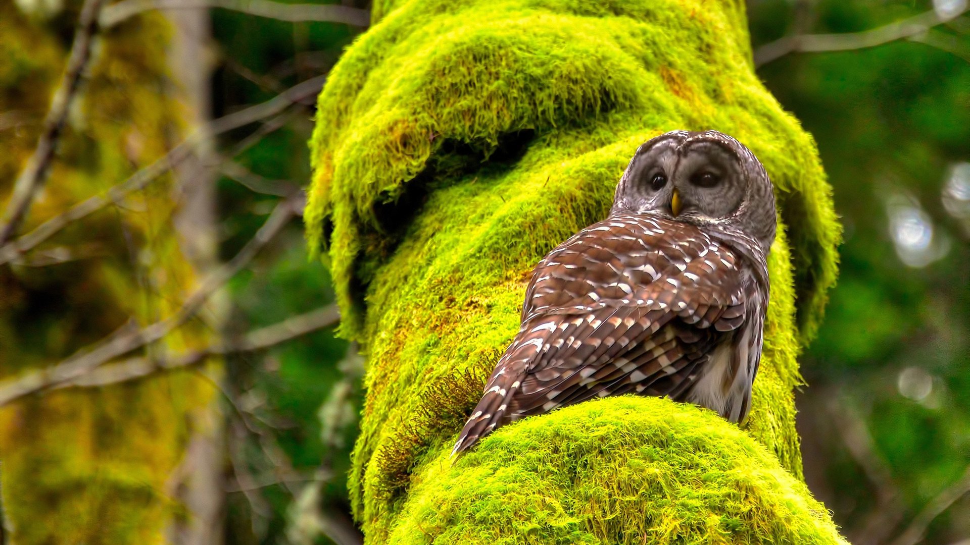 C9举办线下粉丝见面会,九月粉丝见面会