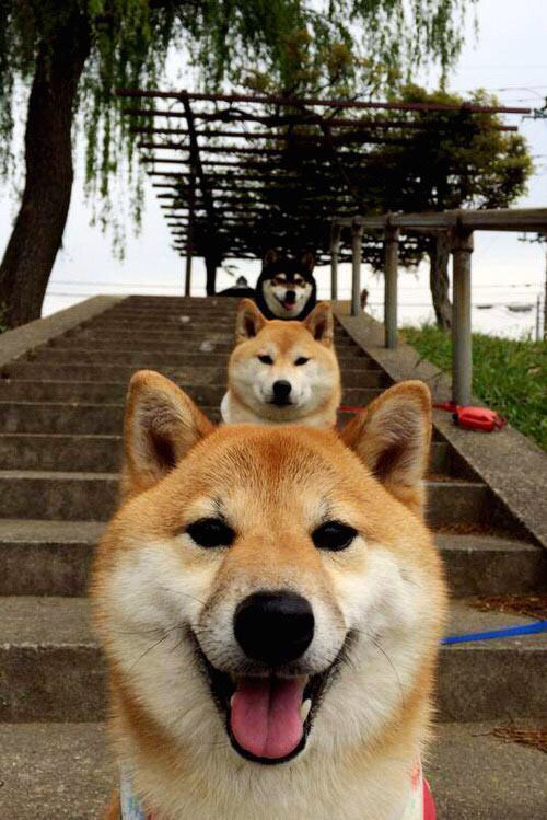 -关键电竞选手转会风波升级，电竞 关键词