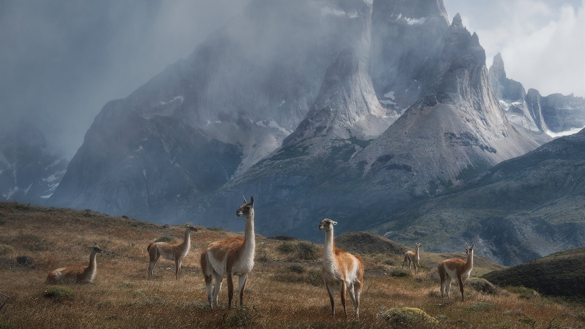 山东男篮惊险胜出,晋级希望再次燃起,山东男篮2021至2022
