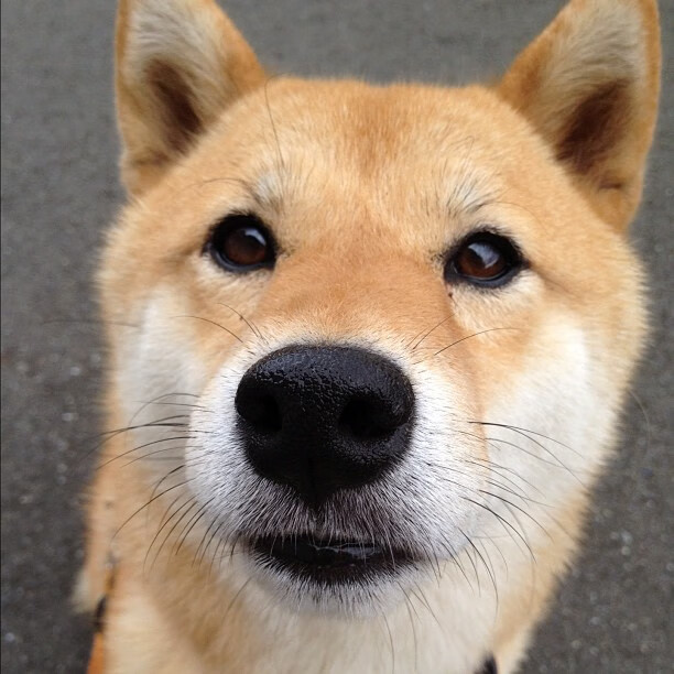 爱游戏娱乐-欧锦赛资格赛末轮大战日益激烈，沸腾的赛场，欧锦赛比赛结果