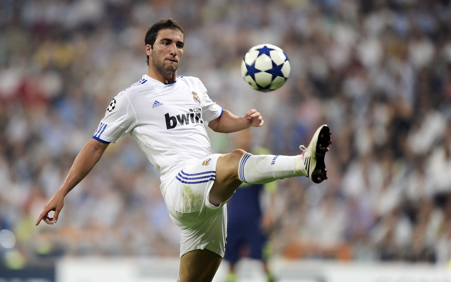 波黑队险胜荷兰,拼搏晋级欧国联附加赛,波黑vs荷兰