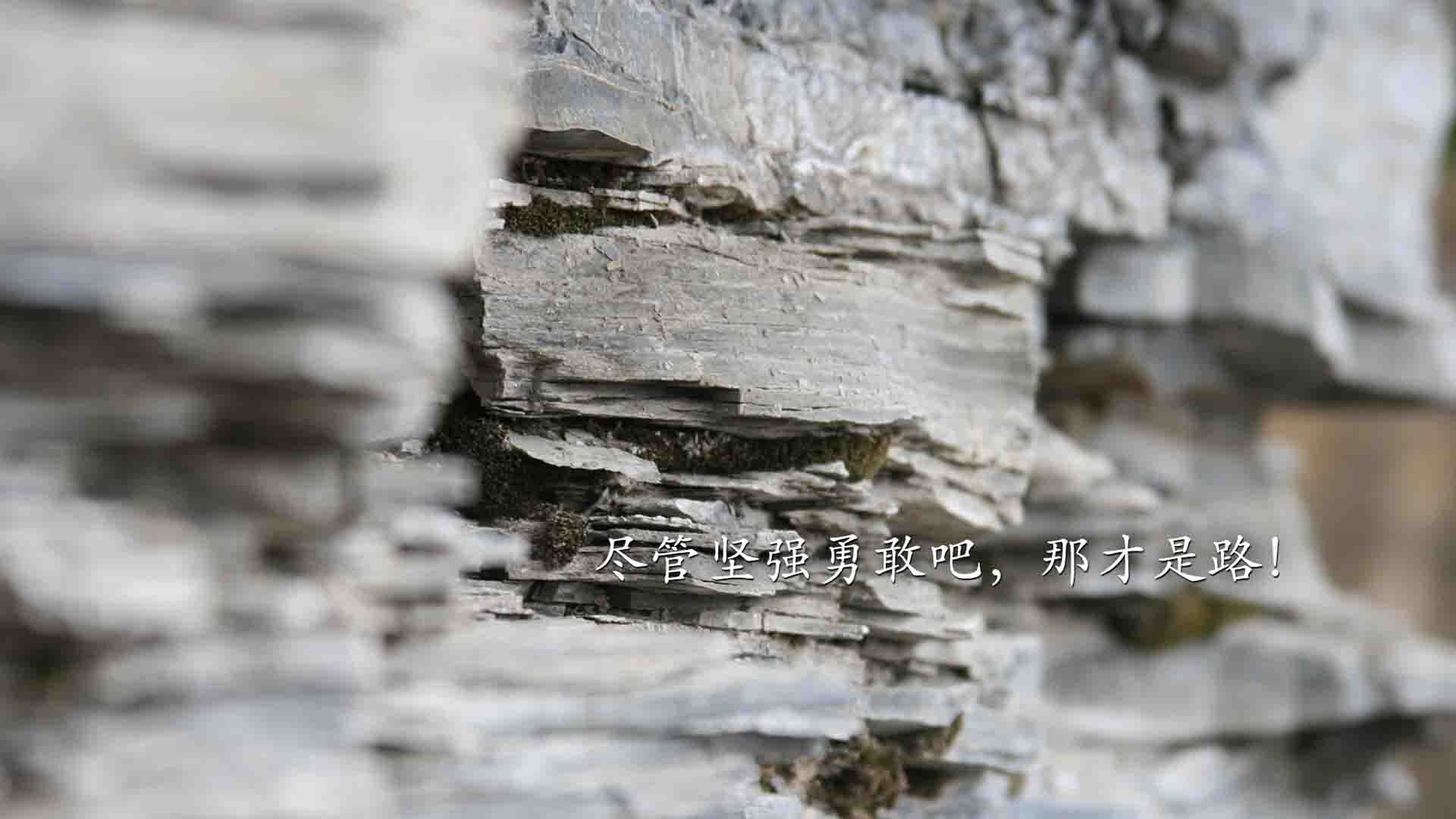 爱游戏娱乐平台-王者荣耀KPL联赛启动赛场安全保障专项行动，2021王者荣耀kpl比赛场地