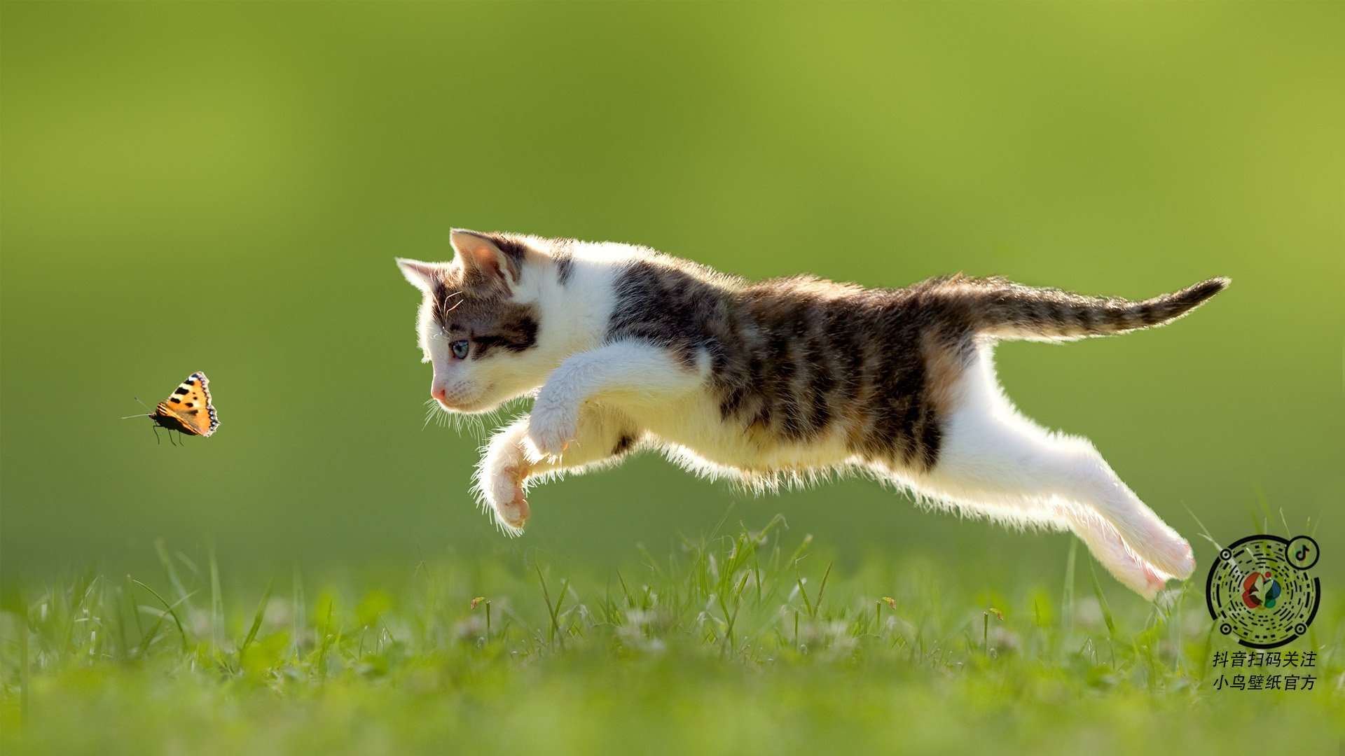 萨斯塔维取胜,继续守住不败记录,萨维塔实力