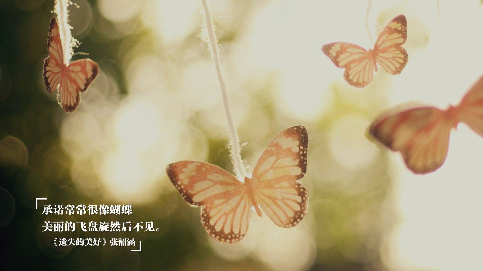 阿根廷队新星恩佐·费尔南德斯表现亮眼,备受关注,阿根廷费洛尔