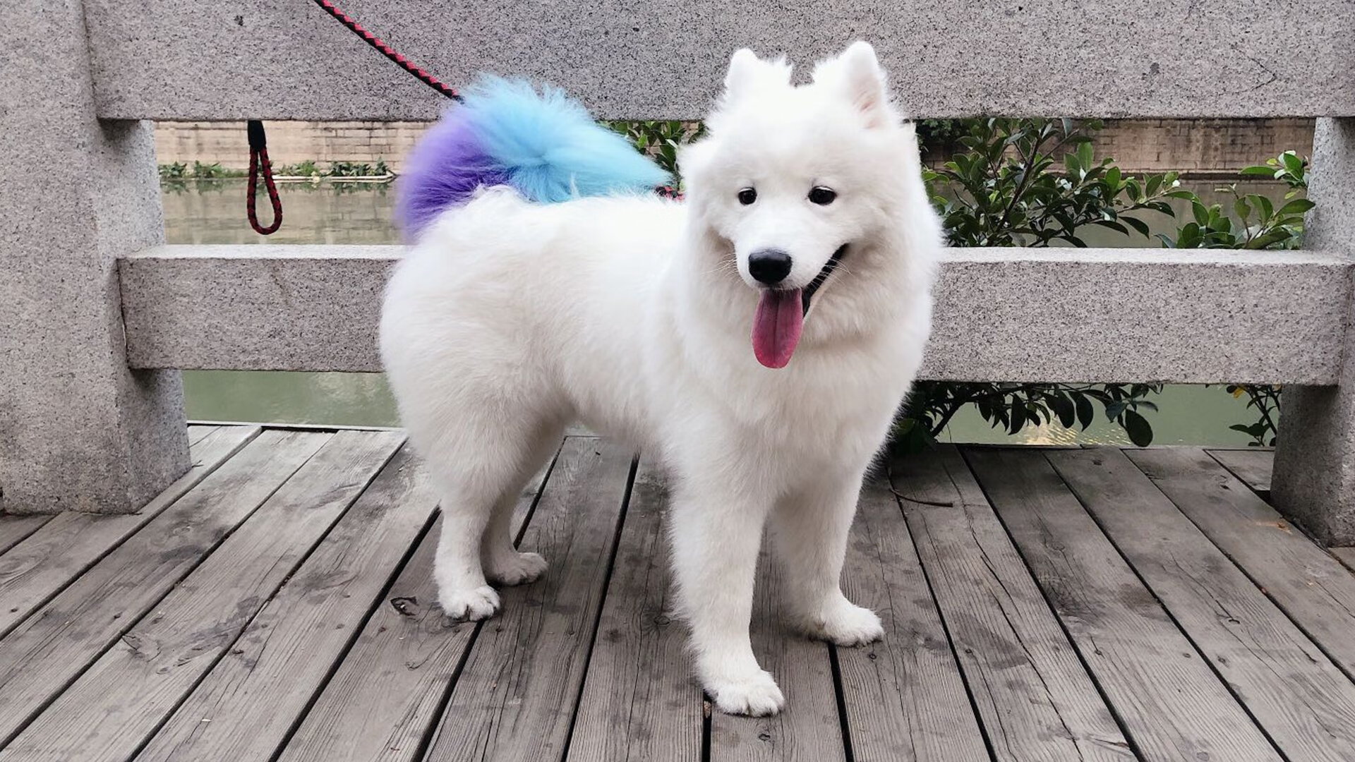 爱游戏娱乐网址-瑞典乒乓球队战术：如何破解强队的进攻套路，瑞典的乒乓球优秀选手