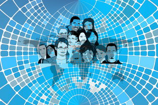 爱游戏-美国队赛制分析：赛制中的人员调整与战术变化，美国队训练赛