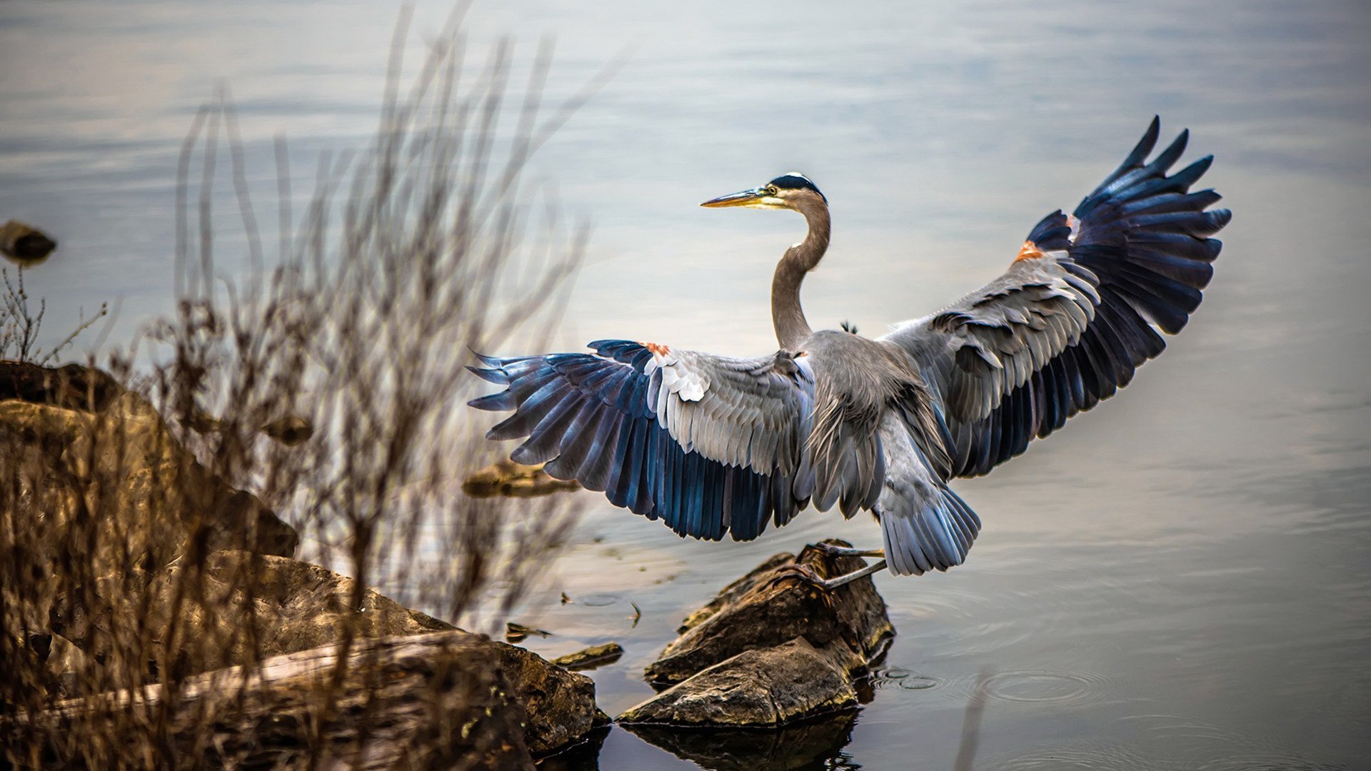以足球为主题的创意街区成为城市夜生活新亮点,足球夜场标语