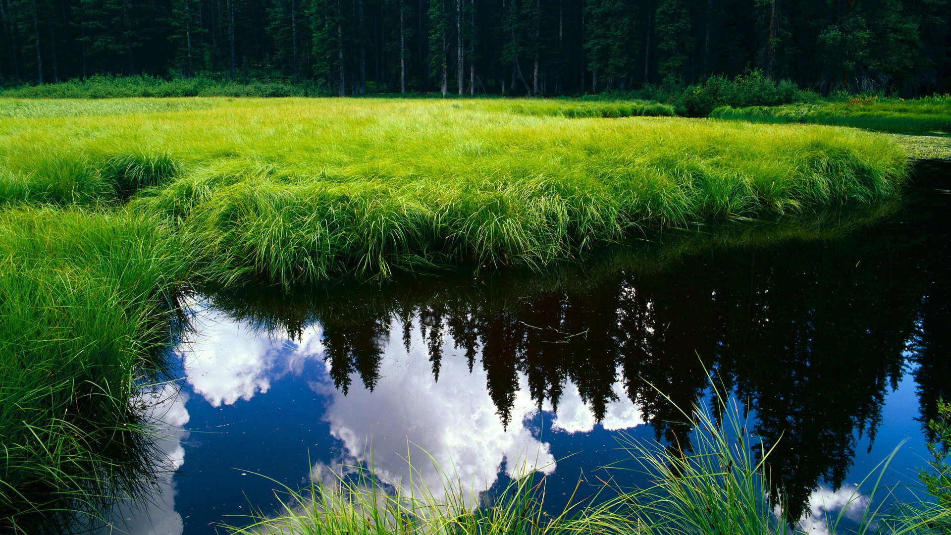 -渡边一平决赛表现引发媒体关注，渡边将百度百科
