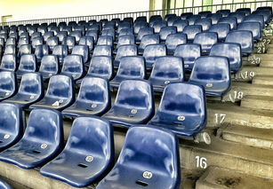 AYX GAMING-竞彩市场火热，足球预测分析工具受追捧，竞彩足球预测推荐